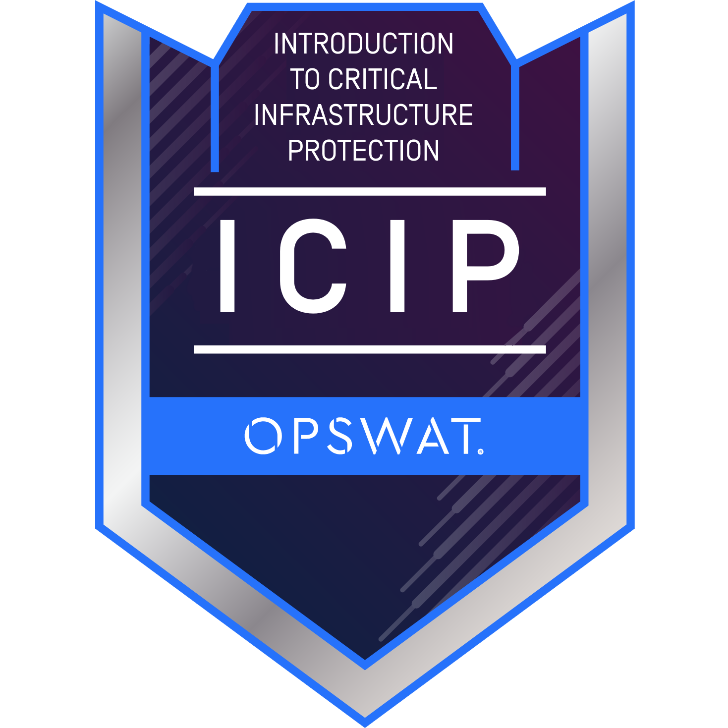 Critical Infrastructure Protection (ICIP)